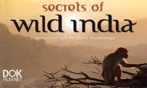 Секреты Дикой Индии / Secrets Of Wild India (2011)