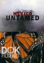 Непокорная Мексика / Mexico Untamed (2018)