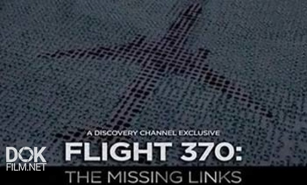 Пропавший Боинг: В Поисках Слабого Звена / Flight 370: The Missing Links (2014)