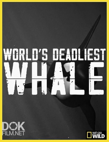 Самый Смертоносный Кит/ World'S Deadliest Whale (2020)