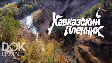 Кавказский Пленник. Северная Осетия (2019)