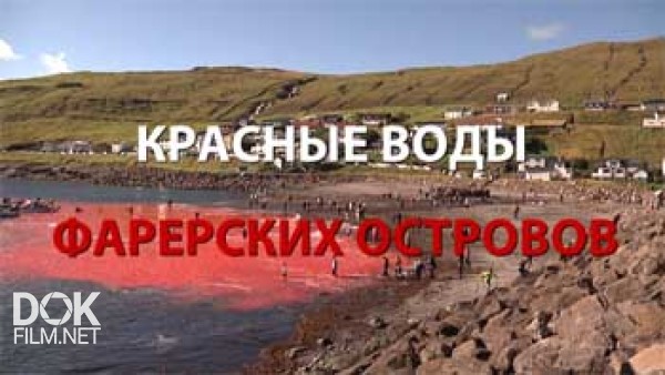 Красные Воды Фарерских Островов (2014)
