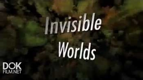 Невидимые Миры / Invisible Worlds (2009)