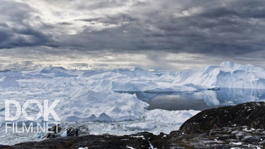 Специальный Репортаж. Битва За Арктику - 2021