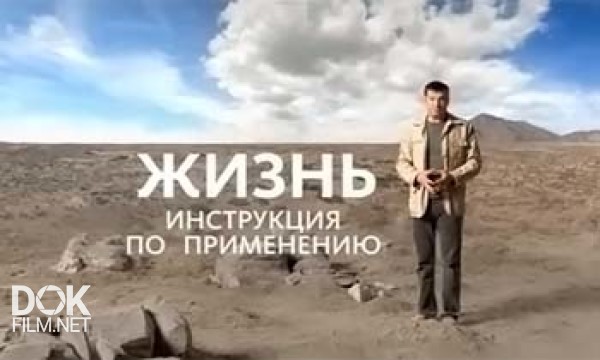 Жизнь. Инструкция По Применению (2012)