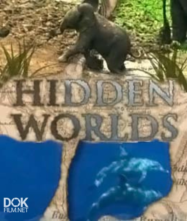 Затерянный Мир (Скрытые Миры) / Hidden Worlds (1999 - 2007)