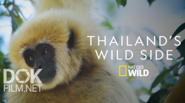 Дикие Места Таиланда/ Thailand'S Wild Side (2020)