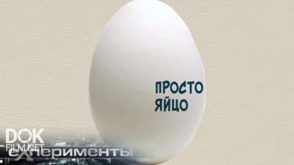 Просто яйцо что это. Просто яйцо. просто яйцо из вологды.