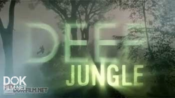 Сердце Джунглей / Deep Jungle (2005)