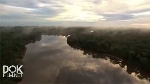 Панорама 360°. Объект Всемирного Наследия: Амазонка / Access 360°. World Heritage: The Amazon (2012)