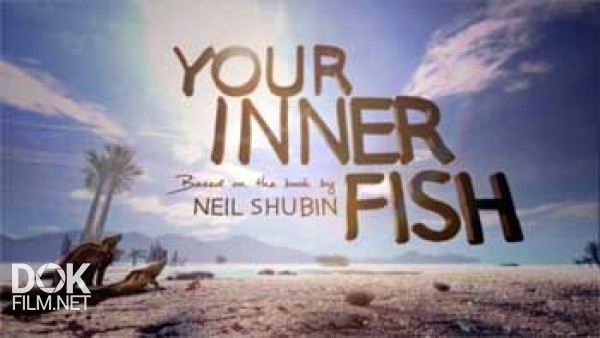 Внутренняя Рыба / Your Inner Fish (2014)