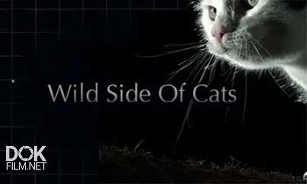 Дикая Сторона Кошек / Wild Side Of Cats (2012)