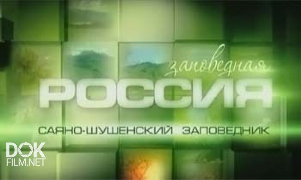 Заповедная Россия. Саяно-Шушенский Заповедник (2011)