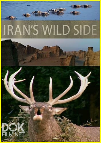 Дикие Места Ирана/ Iran'S Wild Side (2018)
