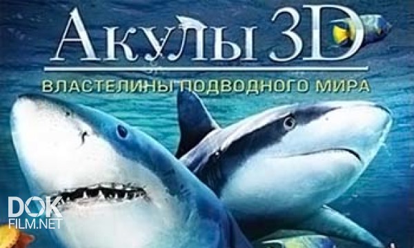 Акулы 3d - Властелины Подводного Мира / Sharks 3d - Kings Of The Ocean (2013)