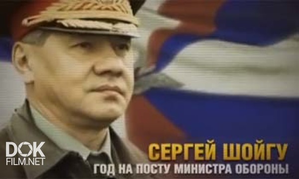 Сергей Шойгу. Год На Посту Министра Обороны (2013)