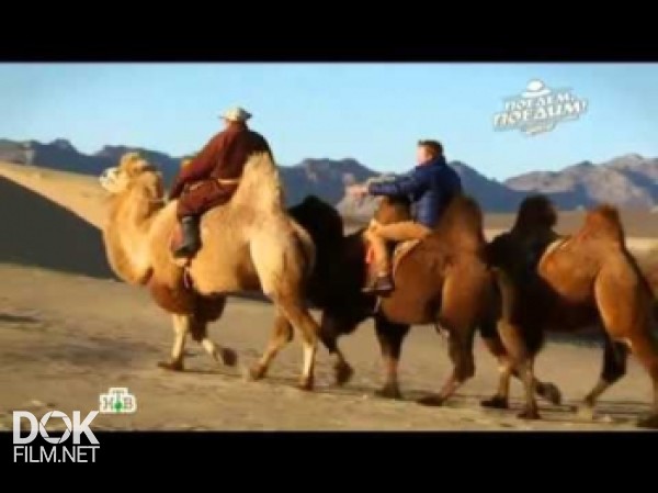 Поедем, Поедим!: Монголия