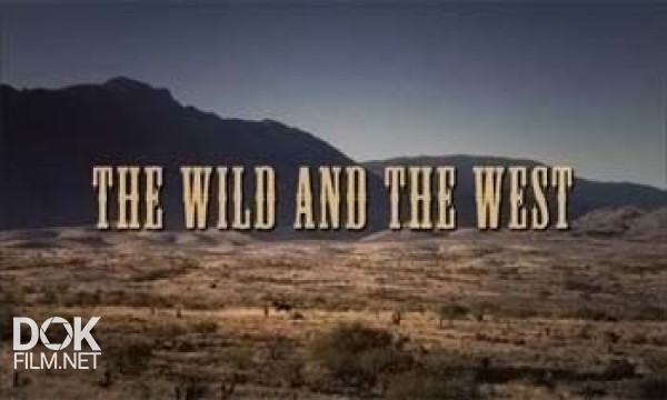 Дикий Запад. Кино И Реальность / The Wild And The West (2006)