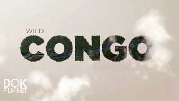 Дикая Река Конго / Wild Congo (2013)