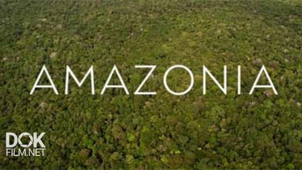 Амазония / Amazonia (2013)