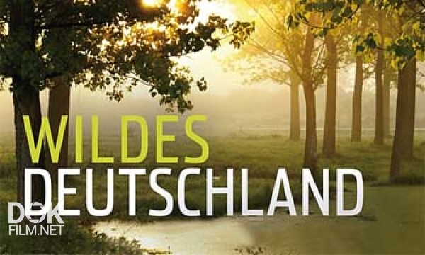Дикая Природа Германии / Wildes Deutschland (2011)