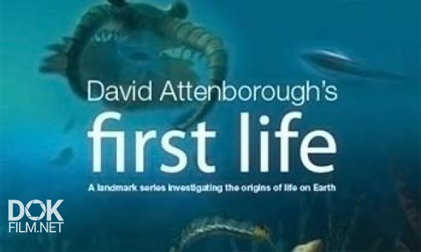 Bbc: Первая Жизнь / Bbc: David Attenborough\'S First Life (2010)