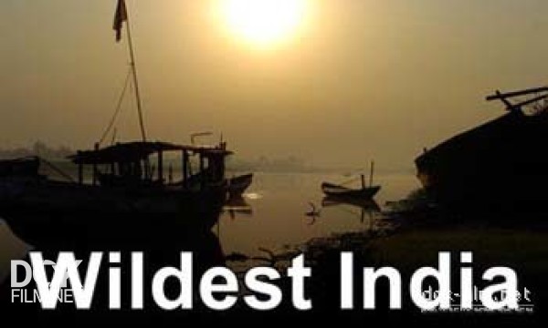 В Дебрях Индии / Wildest India (2011)