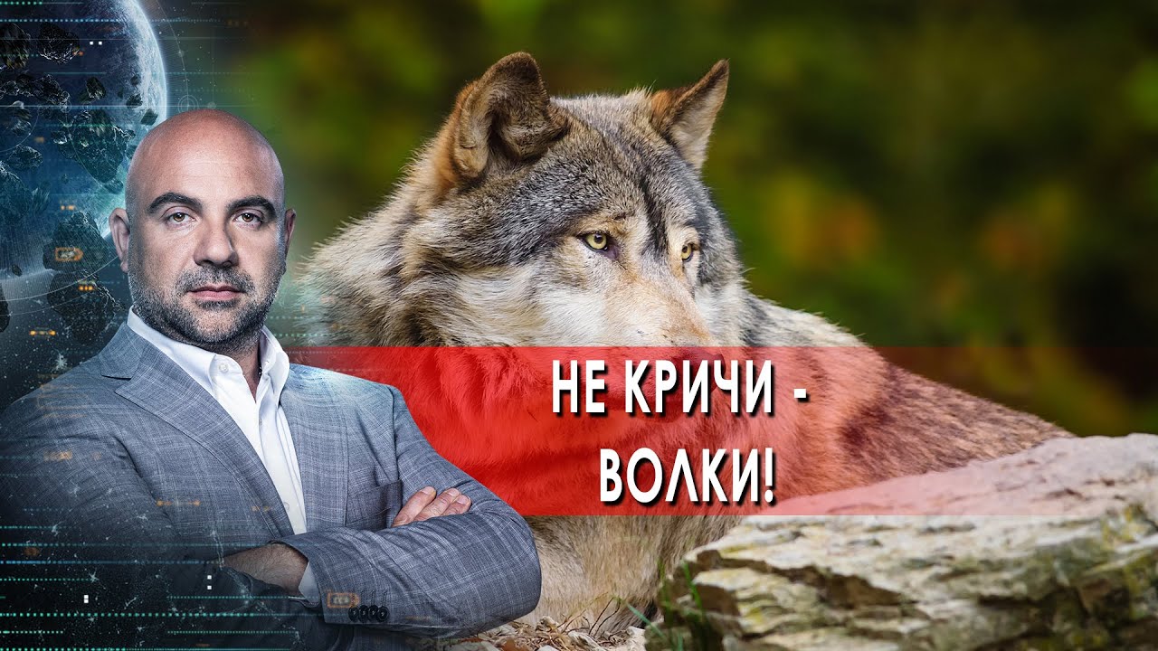 "Как устроен мир" с Тимофеем Баженовым. Не кричи - волки! (2021)