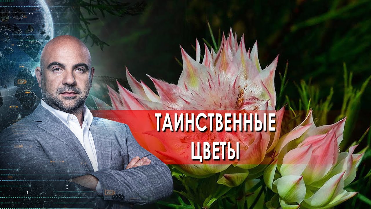 "Как устроен мир" с Тимофеем Баженовым. Таинственные цветы (24.09.2021)