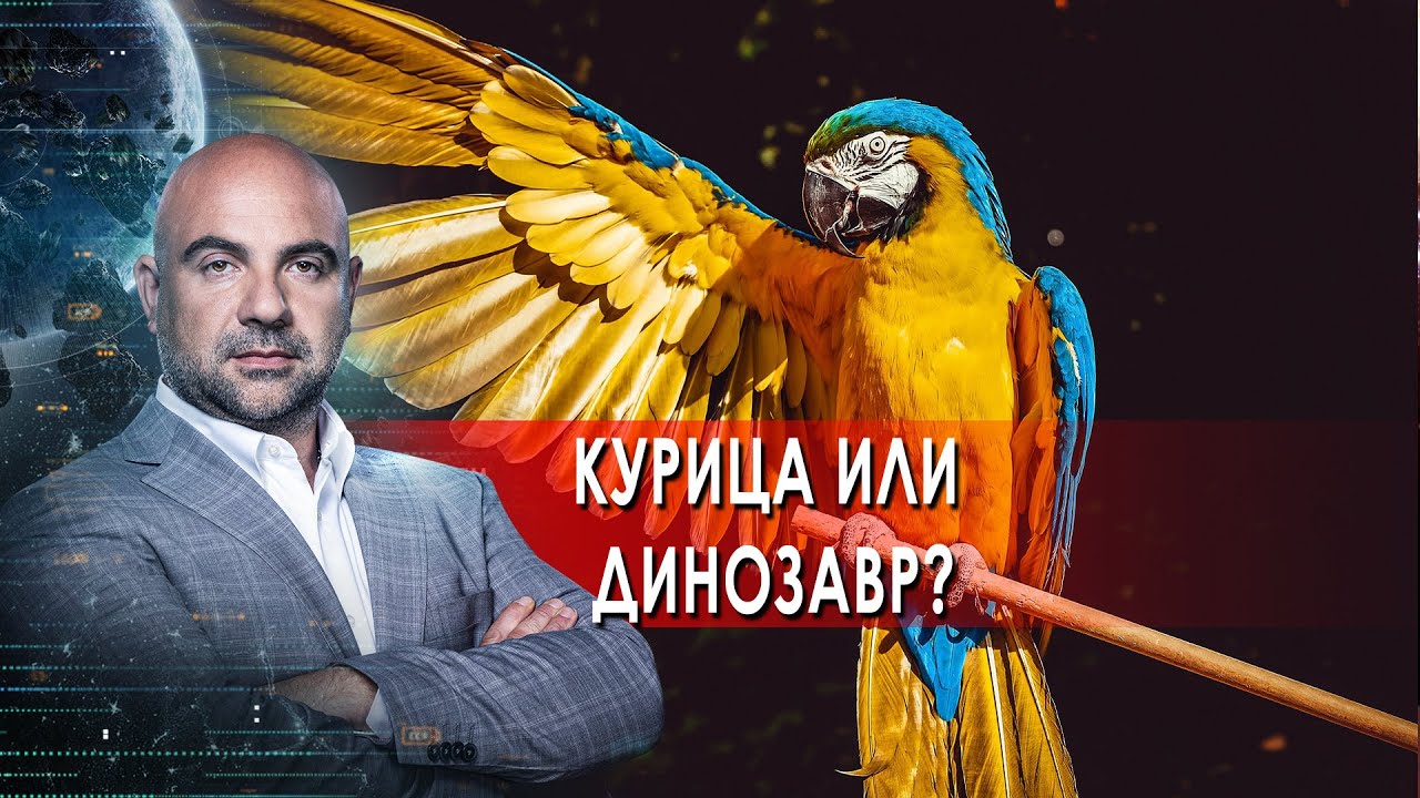 "Как устроен мир" с Тимофеем Баженовым. Курица или динозавр? (2021)