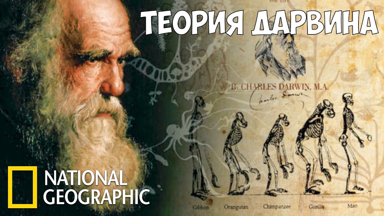 С точки зрения науки. Был ли Дарвин прав? (Ошибся ли Дарвин?)