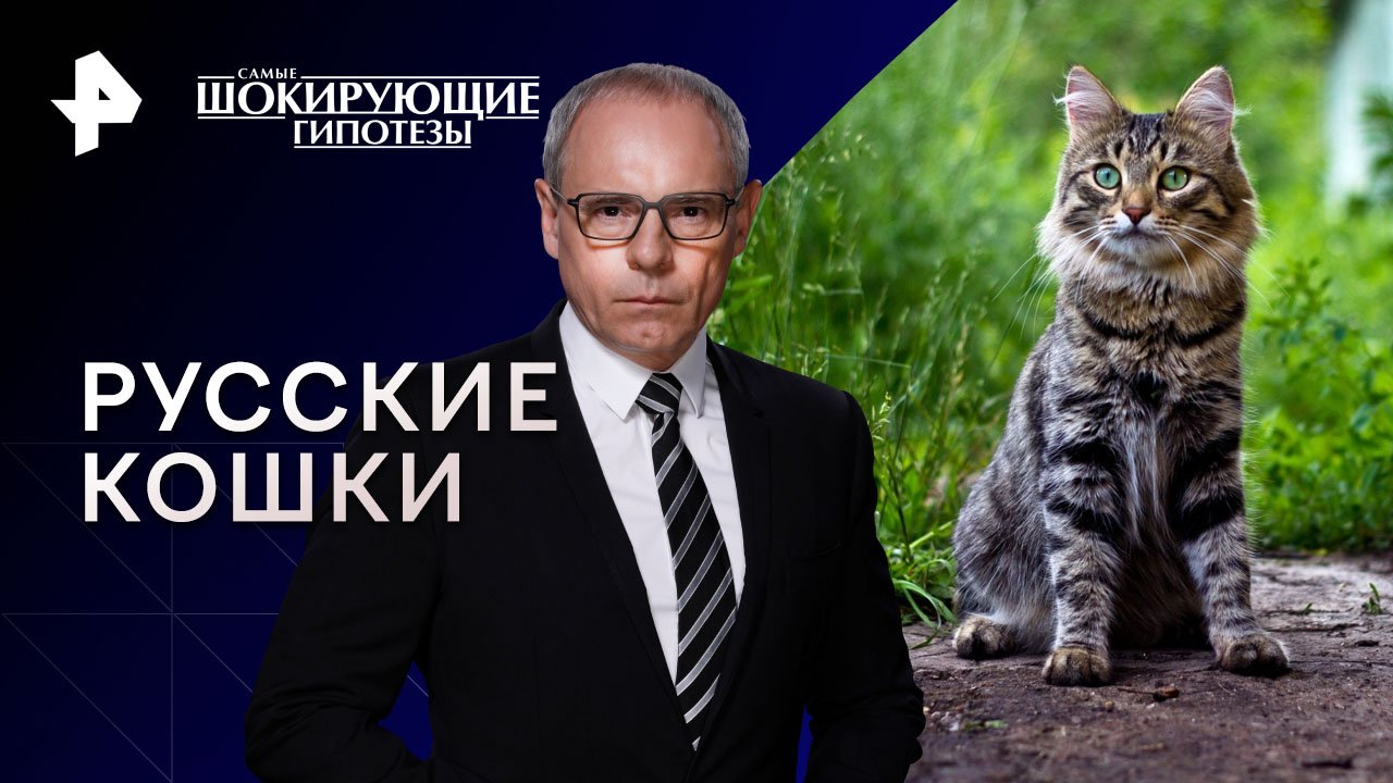 Самые шокирующие гипотезы. Русские кошки (03.08.2023)