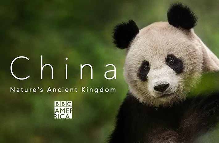 Китай: Древнее Царство Природы/ China: Nature's Ancient Kingdom (2021)