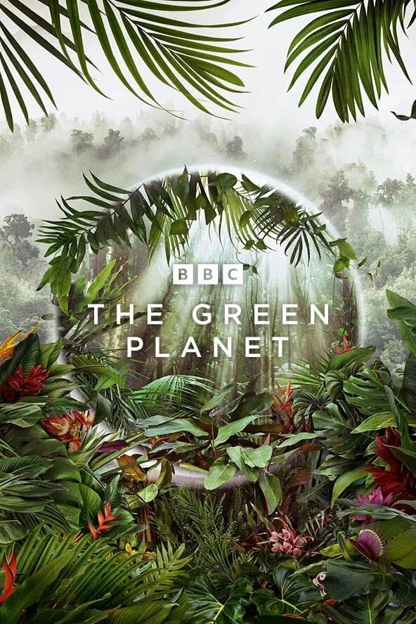 Зелёная планета/ The Green Planet (2022)