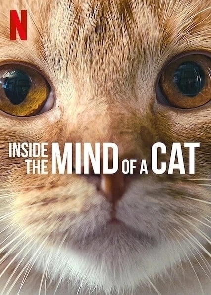 Внутри разума кошки/ Inside the Mind of a Cat (2022)