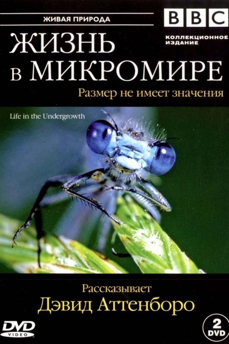 Жизнь в микромире/ Life in the undergrowth (2005)