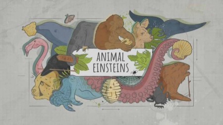 Эйнштейны от природы/ Animal Einsteins (2021)