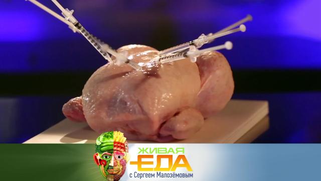 Живая еда. Преимущества мяса птицы и рецепты блюд из кабачков (2021)