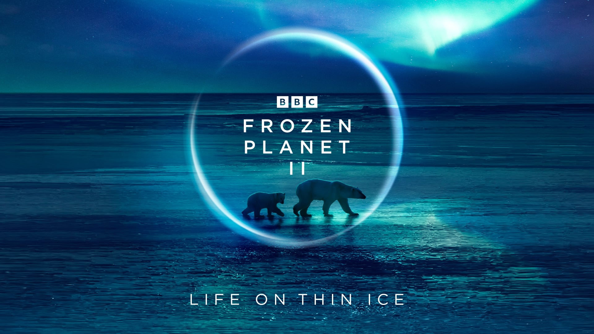 Замёрзшая планета 2/ Frozen Planet II (2022)