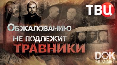 Обжалованию не подлежит. Травники (2026)