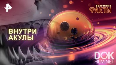 Безумные факты. Внутри акулы (2025)