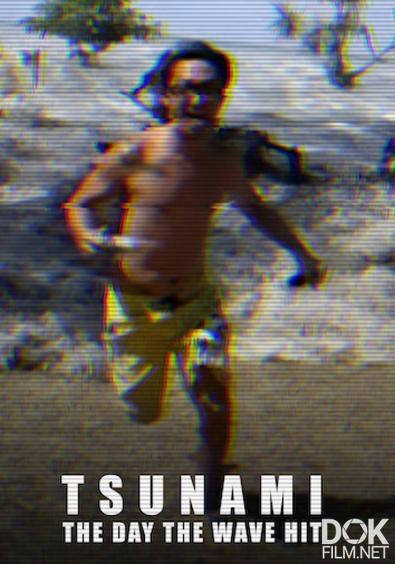Цунами. День, когда пришла волна/ Tsunami 2004. The Day the Wave Hit (2024)