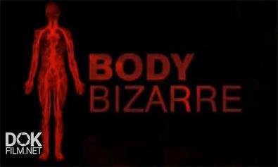 Аномалии Тела / Anomalies Of A Body / Body Bizarre (2013)