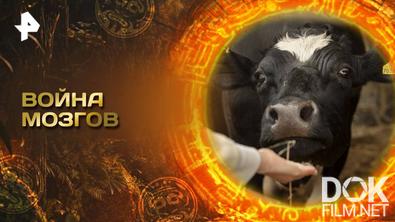 Главные тайны мира. Война мозгов (2025)