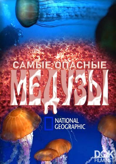 Самые опасные медузы/ World's Deadliest Jellyfish (2020)