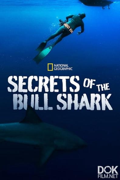 Тайны бычьей акулы/ Secrets of the Bull Shark (2020)