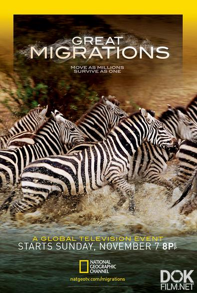 Великие миграции/ Great Migrations (2010)