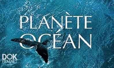 Планета-Океан / Planete Ocean (2012)