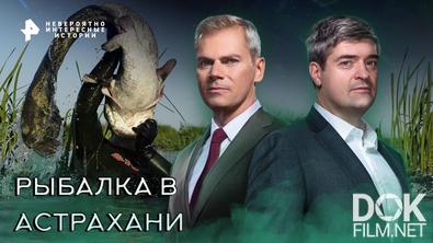 Невероятно интересные истории. Рыбалка в Астрахани (08.02.2023)