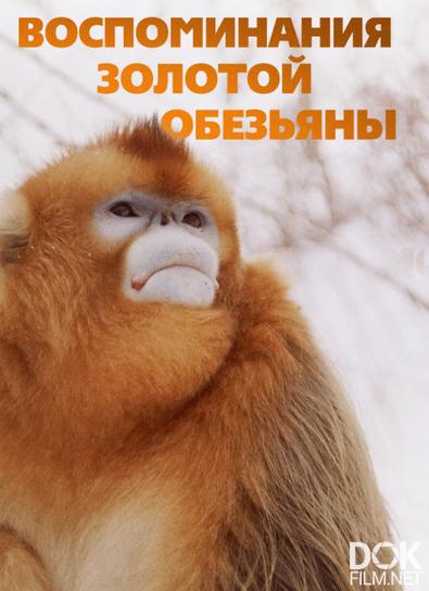 Воспоминания золотой обезьяны/ Souvenirs d'un singe doré (2023)